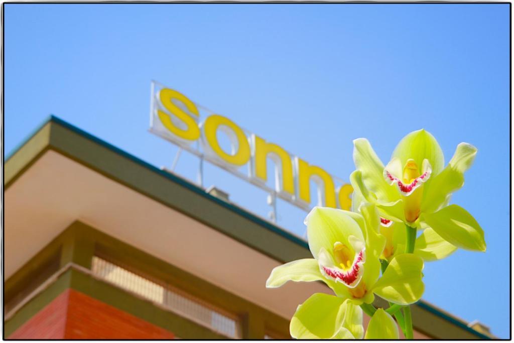 Hotel Sonne ริมินี ภายนอก รูปภาพ